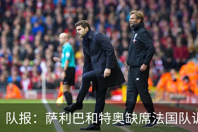 队报：萨利巴和特奥缺席法国队训练，但“无需担心”